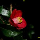 대우네민박 이미지