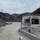 견우애견 | 울산 애견카페 먹골댕댕이 강아지랑 하루 종일 놀기 좋은 500평의 천연잔디 운동장