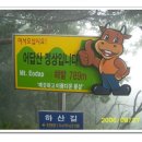 횡성온천 이미지
