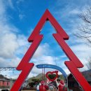 삼성조성판매장 | 분천역 산타마을 백두대간 협곡열차 국내 기차여행 추천