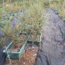 요한이네농장 이미지