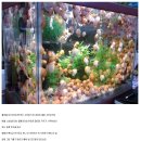 달팽이 Daum카페