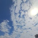 청룡뿌리휴게소 | 평일 고속도로 막힌다 싶어도 네비 따라가면 시간 더 걸리는 마법