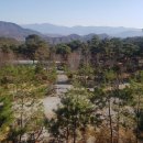 명봉산솔밭관광농원오토캠핑장 이미지