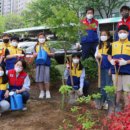 플랜테리어 홈가드닝 이미지