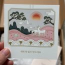 아기곰맘마 | [현미온미 찜질팩] 아기곰 허리/배 찜질팩 핫팩 벨트형 사용후기🧸