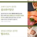 햄프씨드 대마종자유 효능 부작용 오메가3 6 혈중 콜레스테롤 감소 이미지