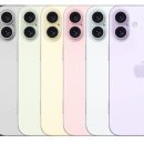 16 이미지