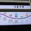 정안약국 | 대전여행😋 🤌