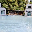 남이섬설리조트1 이미지