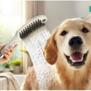 도그샤워 이미지