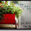 행복나무 이미지