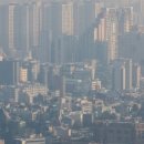 리얼부동산중개법인주식회사 이미지