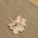 수석비디오 | 본식 아이폰스냅 노드스냅 수석실장님 찐 후기 #내돈내산