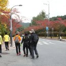 팔공산올레길 3코스 이미지