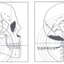 스킨앤미