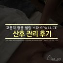 스파루체 이미지