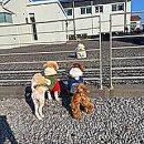 소서제주 7월2일 이미지