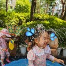 꼬마별어린이집 이미지