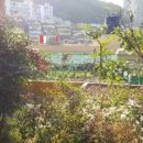 사하구-33 이미지
