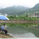 청도초등학교 이미지