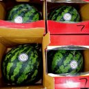 사평대로28길 31 (1) 이미지