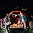 비어캠프 이미지