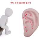 귀 건강학(이혈테라피) 이미지