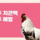 계두농장 이미지