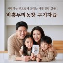 두리농장 | 2026 설날 선물 고민 끝! 부모님이 먼저 알아보시는 비홍두리농장 구기자즙