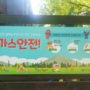 도덕산 캠핑장 이미지