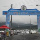 동강둔치행사장 이미지