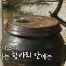 양지빌딩 이미지