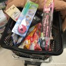 더나은펫샵 이미지