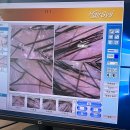 크린샵 | [부천 두피관리] 크린브레인 방문후기 : 탈모·각질 케어 가능한 두피관리샵