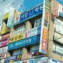 사파동162 이미지