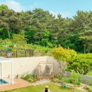 보담풀빌라 이미지