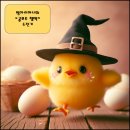 인생 첫 공모주 청약 후기 - 케이웨더