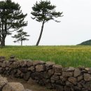 법인제주청년농부