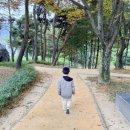 호텔로얄 이미지