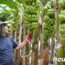 박진규농장 이미지