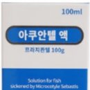 율하제일약국 이미지
