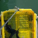 대호낚시터 이미지