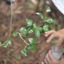 24절기 생태교육 이미지