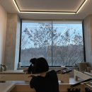 필라테스원 이미지