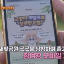 스튜디오온더덩