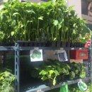 서울농약사 이미지