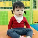 행복나라어린이집 이미지