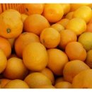 창민농장 이미지