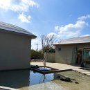 다담가 | 제주 독채 숙소 추천 I 스테이 다담가 I 객실6 후기(개별 자쿠지, 독채 숙소)